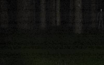 Палочник / Slender: The Eight Pages v0.9.7 (2012 - Eng) + Портативная версия / Portable